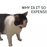 WHY IS IT SO EXPENSIVE meme