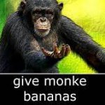 monke