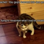 lol | Teacher: You guys learned this last year! Me trying to remember what I had for breakfast | image tagged in loading cat hd | made w/ Imgflip meme maker