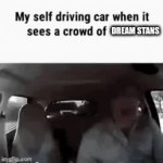 Dream stans | DREAM STANS | image tagged in gifs,memes | made w/ Imgflip video-to-gif maker