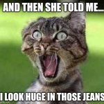 Shocked and Appalled | AND THEN SHE TOLD ME... I LOOK HUGE IN THOSE JEANS | image tagged in insults,funny cats,funny animals,shocked cat | made w/ Imgflip meme maker