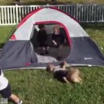 toddler kids falling tent funny humor laugh GIF Template