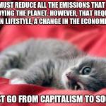 Socialist Kitty | WE MUST REDUCE ALL THE EMISSIONS THAT ARE DESTROYING THE PLANET. HOWEVER, THAT REQUIRES A CHANGE IN LIFESTYLE, A CHANGE IN THE ECONOMIC MODE | image tagged in socialist kitty | made w/ Imgflip meme maker