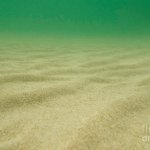 sandy seabed