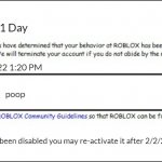 Banned from ROBLOX [2008 Interface Edition] | Banned for 1 Day; 2/1/2022 1:20 PM; poop; Profanity; Your account has been disabled you may re-activate it after 2/2/2022 1:20 PM | image tagged in banned from roblox 2008 interface edition | made w/ Imgflip meme maker