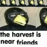 The harvest is near friends meme