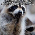 Attention all memers! | Attention all memers! My friend named AlaunaRoach made a raccoons stream! Love raccoons? Good! Hate raccoons? Good! Don't care about raccoons but still want to shove one of a cliff for amusement? Good! Join today! Link in the comments. | image tagged in surprised raccoon,raccoon | made w/ Imgflip meme maker
