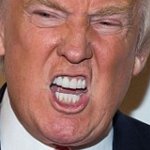 Trump's teeth, nasty snarl