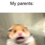 e | me: I wanna be Batman; My parents: | image tagged in scared hamster,memes,idk | made w/ Imgflip meme maker