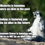 Confucius Say... | Maturity is knowing you were an idiot in the past; Wisdom is knowing you will be an idiot in the future; Common Sense is knowing you should try to NOT be an idiot right now | image tagged in zen lemur,confucius says,words of wisdom,namaste | made w/ Imgflip meme maker
