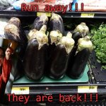 They are back! | Run away!!! They are back!!! | image tagged in eggs,science fiction,spooky,creepy,aliens,plants | made w/ Imgflip meme maker