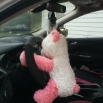 teddy bear driving away