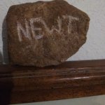 Newt Maze Runner memorial stone meme
