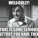 Gomer Pyle | WELL GOLLY! THAT IS SOME SERIOUS BUTTROT YOU HAVE THERE | image tagged in gomer pyle | made w/ Imgflip meme maker