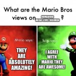 Mega-level Humanoid Digimon rule! | THEY ARE ABSOLUTELY AMAZING! I AGREE WITH MARIO.THEY ARE AWESOME! HUMANOID MEGA-LEVEL DIGIMON | image tagged in mario bros views | made w/ Imgflip meme maker