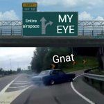 Any time I go outside | Entire airspace MY EYE Gnat | image tagged in memes,left exit 12 off ramp,outdoors,bugs,insects,parks and recreation | made w/ Imgflip meme maker