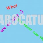 Arocatula's super new cool secret stupid template no copy please meme