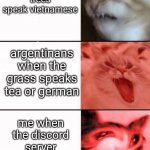 Crying cats | americans when the trees speak vietnamese; argentinans when the grass speaks tea or german; me when the discord server speaks drama | image tagged in crying cats | made w/ Imgflip meme maker