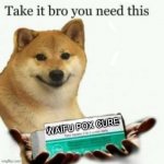 Yes | WAIFU POX CURE | image tagged in simp dog anti-simp tabs | made w/ Imgflip meme maker