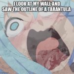 Aqua PTSD | I LOOK AT MY WALL AND SAW THE OUTLINE OF A TARANTULA | image tagged in aqua ptsd | made w/ Imgflip meme maker