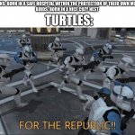 baby turtles | TURTLES:; HUMANS: BORN IN A SAFE HOSPITAL WITHIN THE PROTECTION OF THEIR OWN MOTHER
BIRDS: BORN IN A NICE COZY NEST | image tagged in for the republic | made w/ Imgflip meme maker