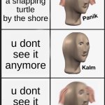 Panik Kalm Panik Meme | u see a snapping turtle by the shore u dont see it anymore u dont see it anymore | image tagged in memes,panik kalm panik,hot | made w/ Imgflip meme maker