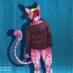 Tomboy furry