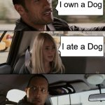 memez | I own a Dog I ate a Dog | image tagged in memes,the rock driving | made w/ Imgflip meme maker
