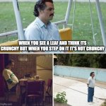 Sad Pablo Escobar Meme | WHEN YOU SEE A LEAF AND THINK ITS CRUNCHY BUT WHEN YOU STEP ON IT IT'S NOT CRUNCHY | image tagged in memes,sad pablo escobar | made w/ Imgflip meme maker