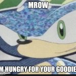 Sonic riders sonic | MROW; I'M HUNGRY FOR YOUR GOODIES | image tagged in funny memes | made w/ Imgflip meme maker