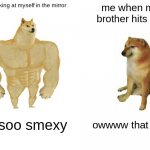 facts | me looking at myself in the mirror me when my brother hits me im soo smexy owwww that hurt | image tagged in memes,buff doge vs cheems | made w/ Imgflip meme maker