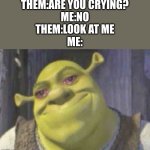 This relates on a high level | THEM:ARE YOU CRYING?
ME:NO
THEM:LOOK AT ME
ME: | image tagged in crying shrek,shrek is love,shrek for five minutes,shrek sexy face | made w/ Imgflip meme maker