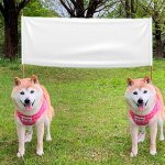 Dogs with flag