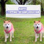 Dogs with flag | HAPPY #TIPPINGTUESDAY DOGEFAM | image tagged in dogs with flag | made w/ Imgflip meme maker