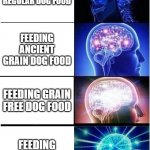 Dog food | FEEDING REGULAR DOG FOOD FEEDING ANCIENT GRAIN DOG FOOD FEEDING GRAIN FREE DOG FOOD FEEDING RAW DOG FOOD | image tagged in memes,expanding brain | made w/ Imgflip meme maker