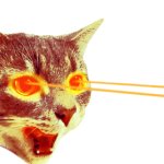 cat laser