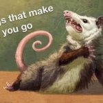 Opossum things that make you go meme