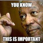 You know, this is important | YOU KNOW; THIS IS IMPORTANT | image tagged in morgan freeman,pointing,morgan freeman good luck,important | made w/ Imgflip meme maker