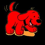 Clifford puppy