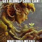 Can bees and humans get along? Sure can! Watch! | CAN BEES AND HUMANS GET ALONG? SURE CAN! WHAT SHALL WE CALL THIS? HOW ABOUT A FLOWER? | image tagged in bees and humans,on earth as it is in heaven,flowers,take care of the earth,the earth will take care of you | made w/ Imgflip meme maker