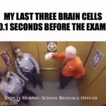 ☠️ | MY LAST THREE BRAIN CELLS 0.1 SECONDS BEFORE THE EXAM: | image tagged in gifs,shitpost,skull,funny memes,school,oh wow are you actually reading these tags | made w/ Imgflip video-to-gif maker