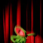 kermit spazing GIF Template