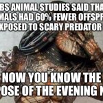 PBS spy on animals | PBS ANIMAL STUDIES SAID THAT ANIMALS HAD 60% FEWER OFFSPRING WHEN EXPOSED TO SCARY PREDATOR NOISES; NOW YOU KNOW THE PURPOSE OF THE EVENING NEWS | image tagged in predator facepalm,pbs,study,news,fake news | made w/ Imgflip meme maker