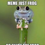 Cute Baby Frog | THIS ISN'T A MEME JUST FROG; SO ENJOY THE FROG | image tagged in cute baby frog | made w/ Imgflip meme maker