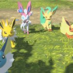 Eevees staring at the camera