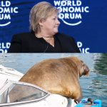 Freya Solberg