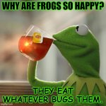Daily Bad Dad Joke August 17 2022 | WHY ARE FROGS SO HAPPY? THEY EAT WHATEVER BUGS THEM. | image tagged in kermit frog tea | made w/ Imgflip meme maker