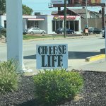 Cheese life