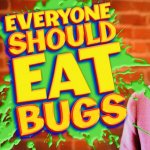 Everyone should eat bugs