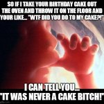 Abortion Cake | SO IF I TAKE YOUR BIRTHDAY CAKE OUT THE OVEN AND THROW IT ON THE FLOOR AND YOUR LIKE... "WTF DID YOU DO TO MY CAKE?!"; I CAN TELL YOU...
"IT WAS NEVER A CAKE BITCH!" | image tagged in abortion,cake | made w/ Imgflip meme maker